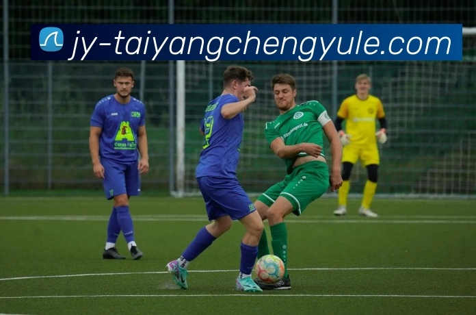 多媒体互动体验